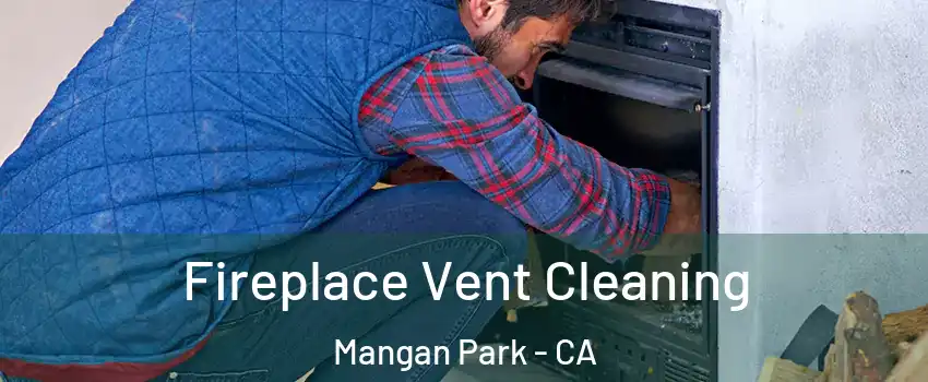 Fireplace Vent Cleaning Mangan Park - CA
