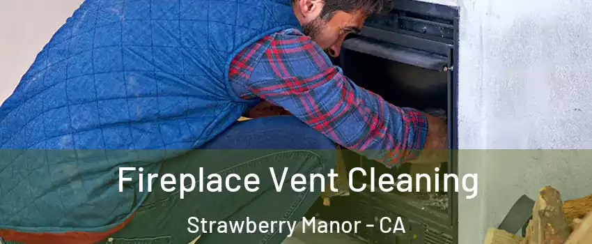 Fireplace Vent Cleaning Strawberry Manor - CA