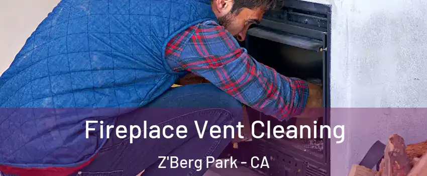 Fireplace Vent Cleaning Z'Berg Park - CA