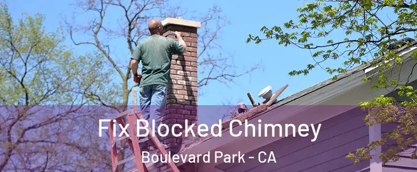 Fix Blocked Chimney Boulevard Park - CA