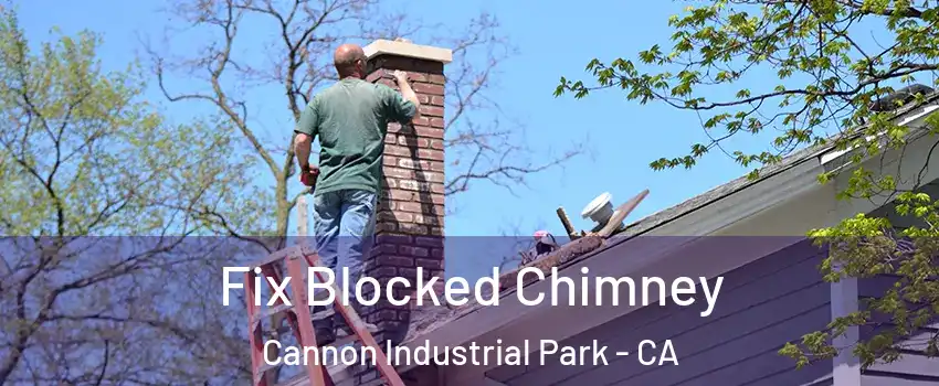 Fix Blocked Chimney Cannon Industrial Park - CA