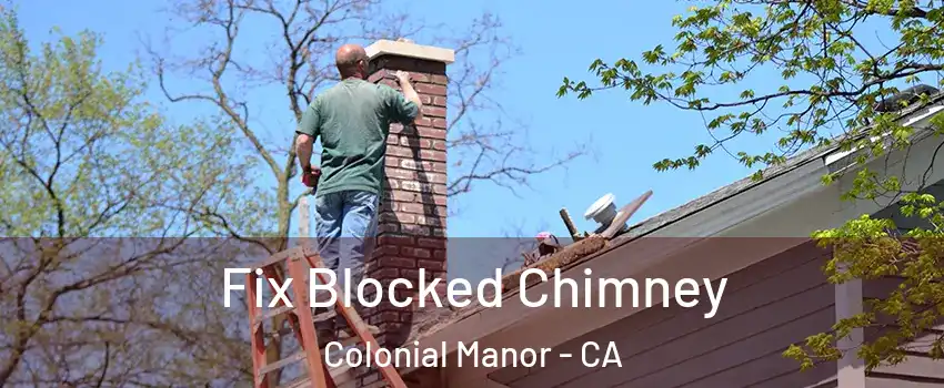 Fix Blocked Chimney Colonial Manor - CA
