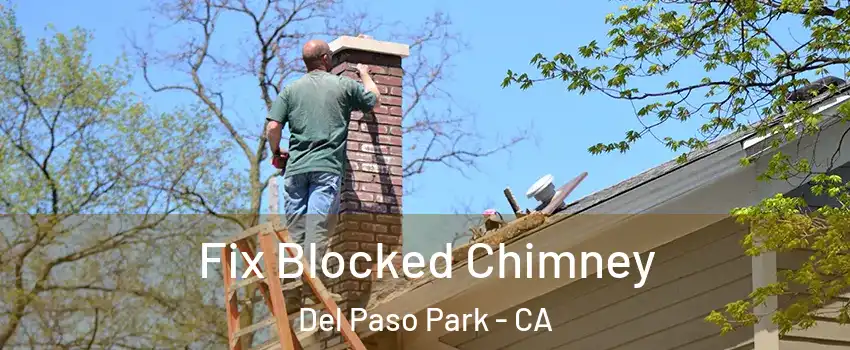 Fix Blocked Chimney Del Paso Park - CA