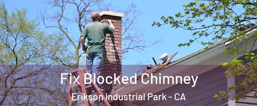 Fix Blocked Chimney Erikson Industrial Park - CA