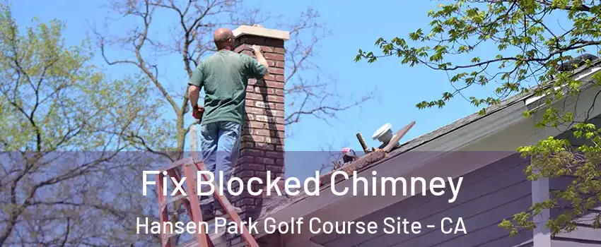 Fix Blocked Chimney Hansen Park Golf Course Site - CA
