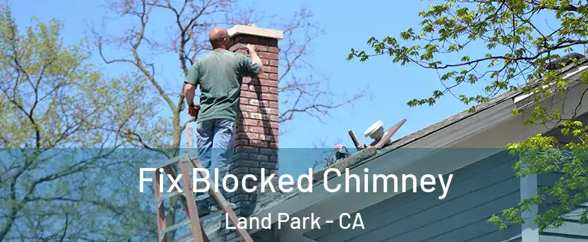 Fix Blocked Chimney Land Park - CA