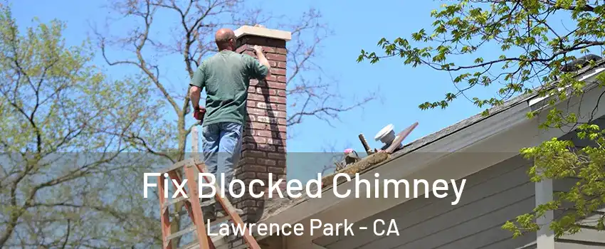 Fix Blocked Chimney Lawrence Park - CA