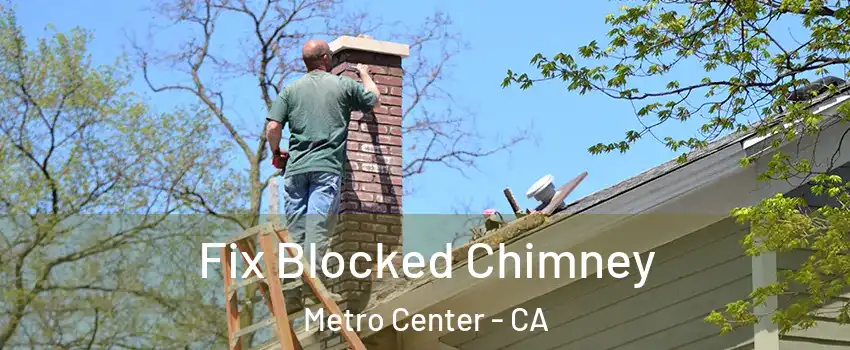 Fix Blocked Chimney Metro Center - CA
