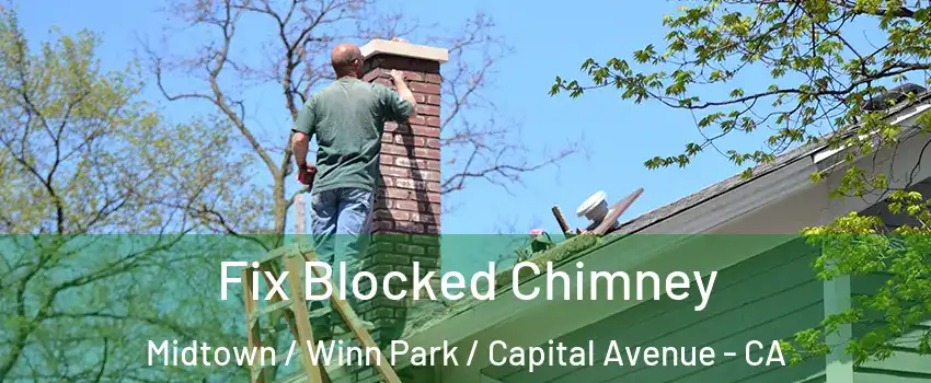 Fix Blocked Chimney Midtown / Winn Park / Capital Avenue - CA