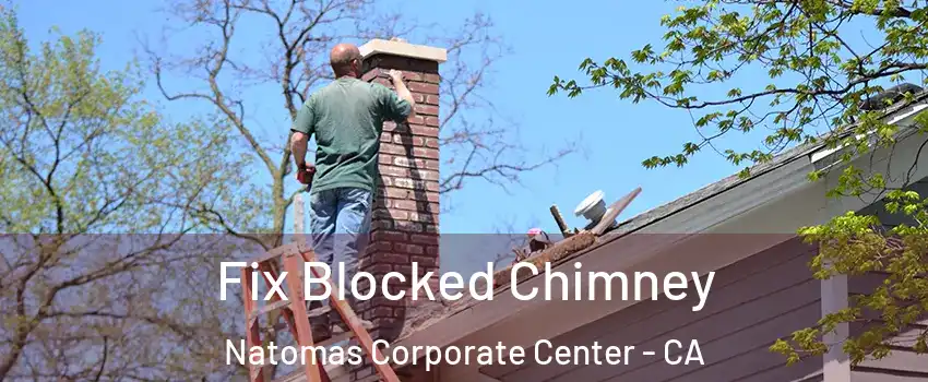 Fix Blocked Chimney Natomas Corporate Center - CA