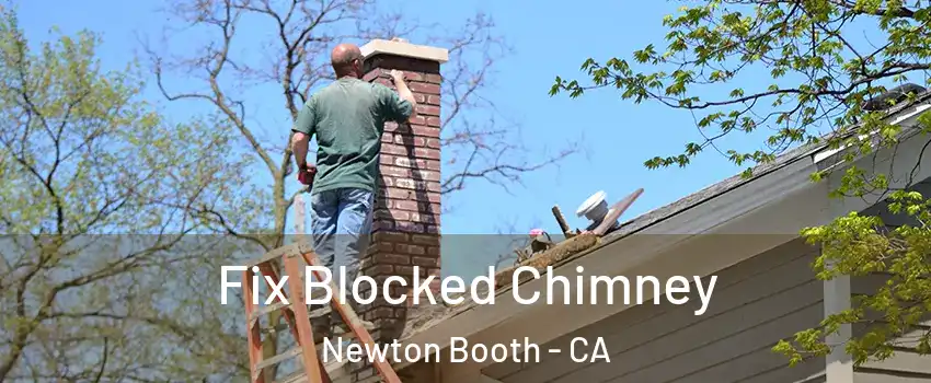 Fix Blocked Chimney Newton Booth - CA