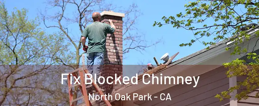 Fix Blocked Chimney North Oak Park - CA