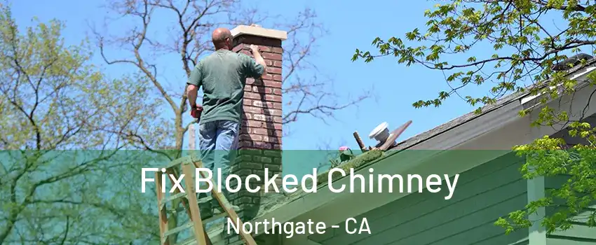 Fix Blocked Chimney Northgate - CA