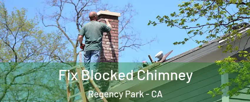 Fix Blocked Chimney Regency Park - CA