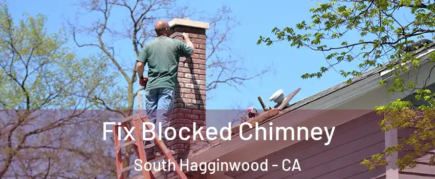 Fix Blocked Chimney South Hagginwood - CA