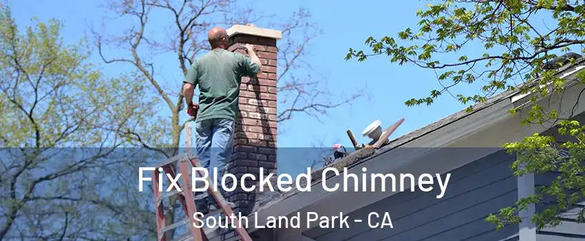 Fix Blocked Chimney South Land Park - CA