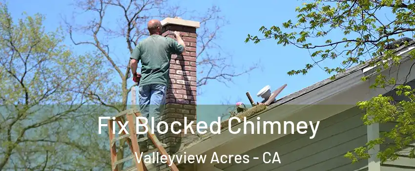 Fix Blocked Chimney Valleyview Acres - CA