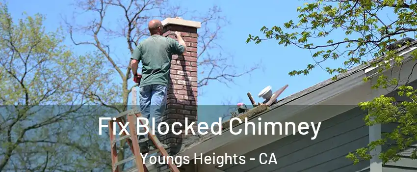 Fix Blocked Chimney Youngs Heights - CA