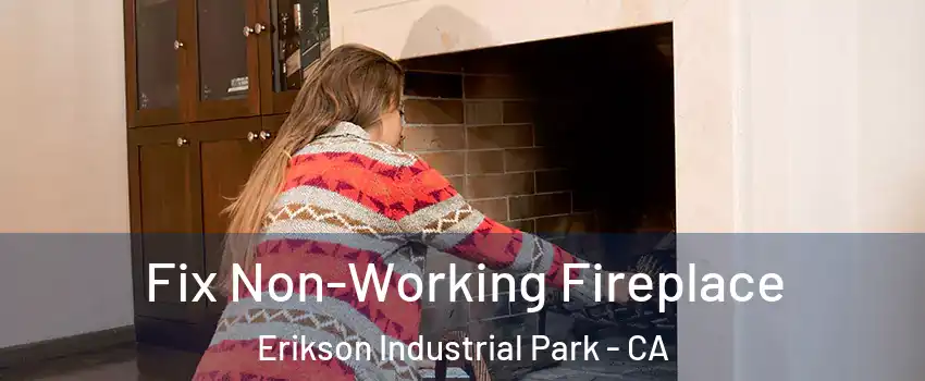 Fix Non-Working Fireplace Erikson Industrial Park - CA