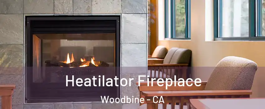 Heatilator Fireplace Woodbine - CA