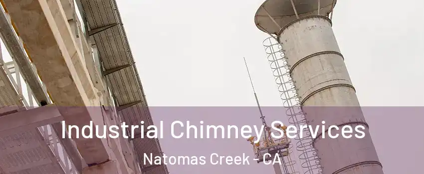 Industrial Chimney Services Natomas Creek - CA