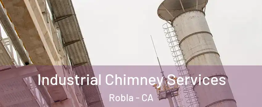 Industrial Chimney Services Robla - CA