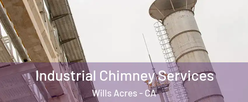 Industrial Chimney Services Wills Acres - CA