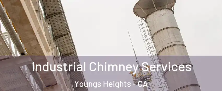 Industrial Chimney Services Youngs Heights - CA