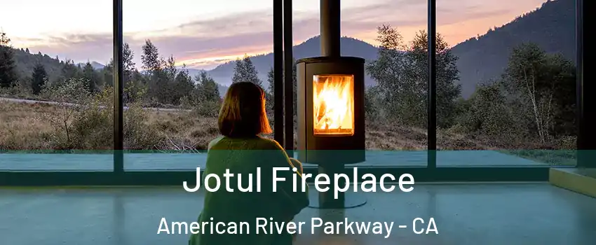 Jotul Fireplace American River Parkway - CA