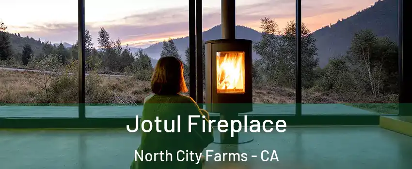 Jotul Fireplace North City Farms - CA
