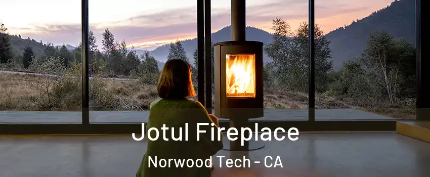 Jotul Fireplace Norwood Tech - CA