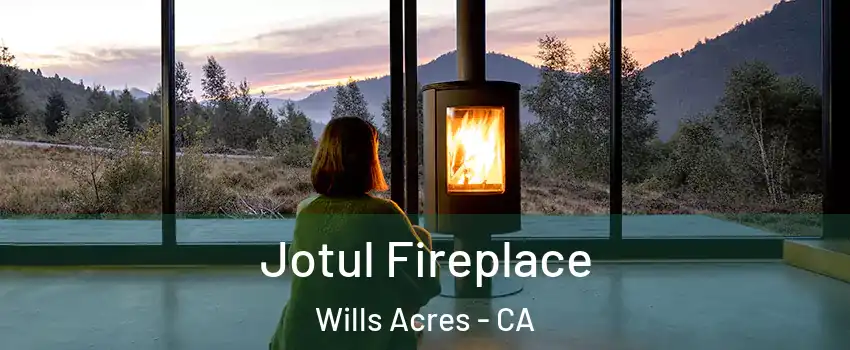 Jotul Fireplace Wills Acres - CA