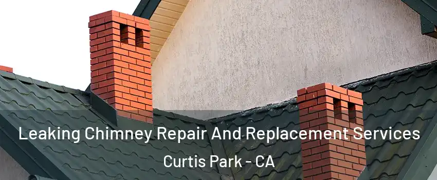 Leaking Chimney Repair And Replacement Services Curtis Park - CA