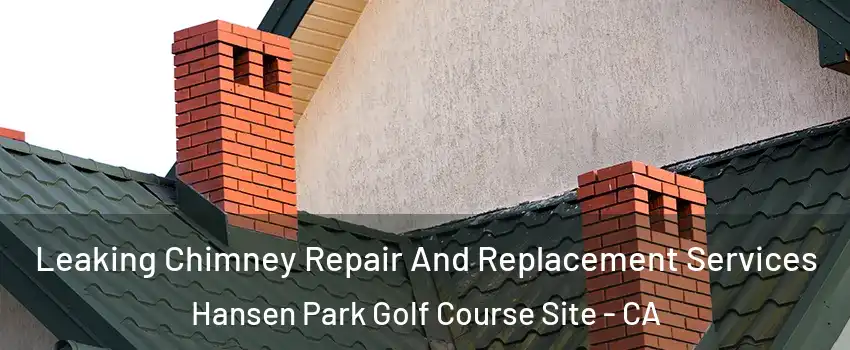 Leaking Chimney Repair And Replacement Services Hansen Park Golf Course Site - CA