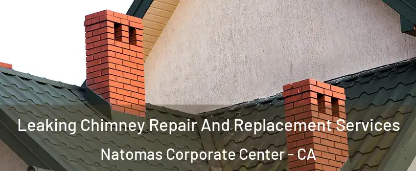 Leaking Chimney Repair And Replacement Services Natomas Corporate Center - CA