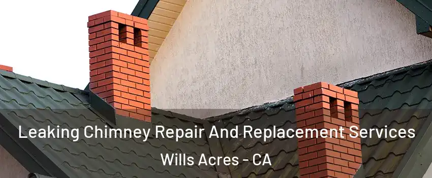 Leaking Chimney Repair And Replacement Services Wills Acres - CA
