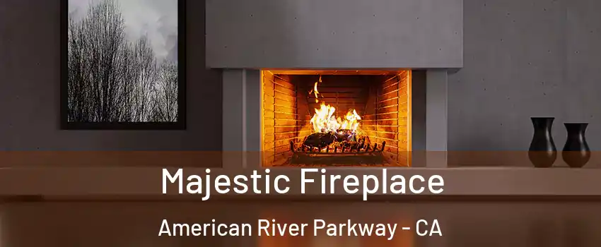 Majestic Fireplace American River Parkway - CA