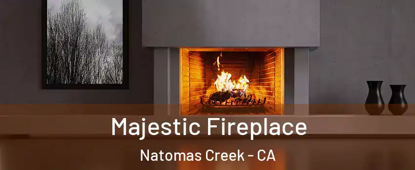 Majestic Fireplace Natomas Creek - CA