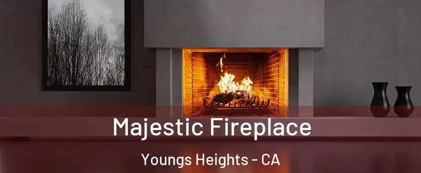 Majestic Fireplace Youngs Heights - CA
