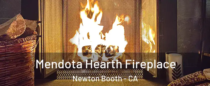 Mendota Hearth Fireplace Newton Booth - CA
