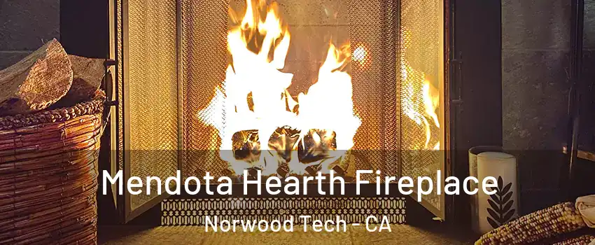 Mendota Hearth Fireplace Norwood Tech - CA